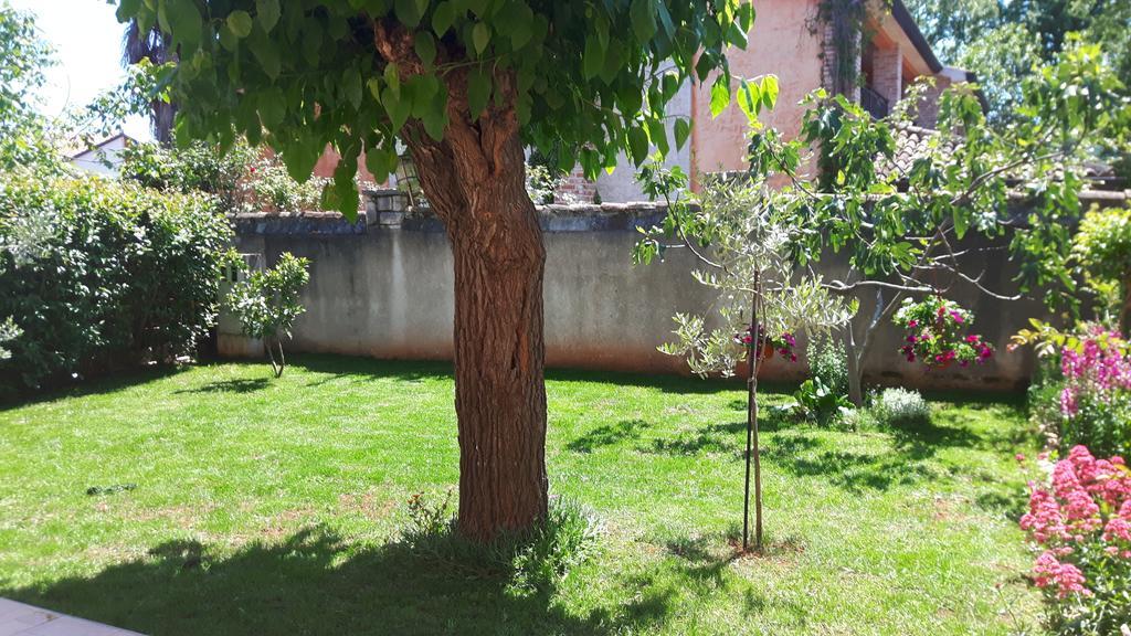 Apartment Ivan بوريتش المظهر الخارجي الصورة